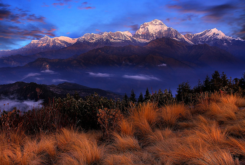 Ghorepani Poonhill Trek